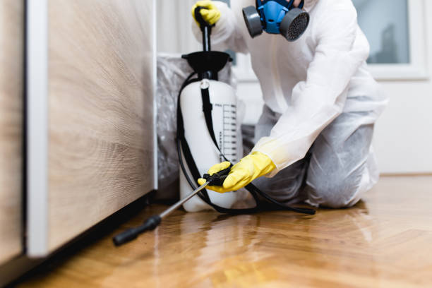 Best Wasp Removal Services  in Richland Hills, TX