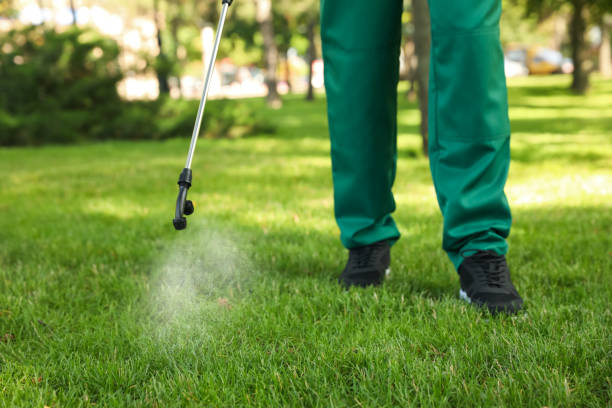 Best Pest Control Near Me  in Richland Hills, TX