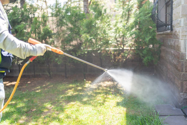 Best Flea Control Services  in Richland Hills, TX