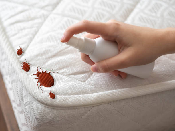 Best Mosquito Control Services  in Richland Hills, TX