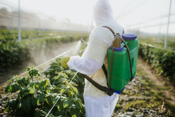 Best Pest Inspection Near Me  in Richland Hills, TX